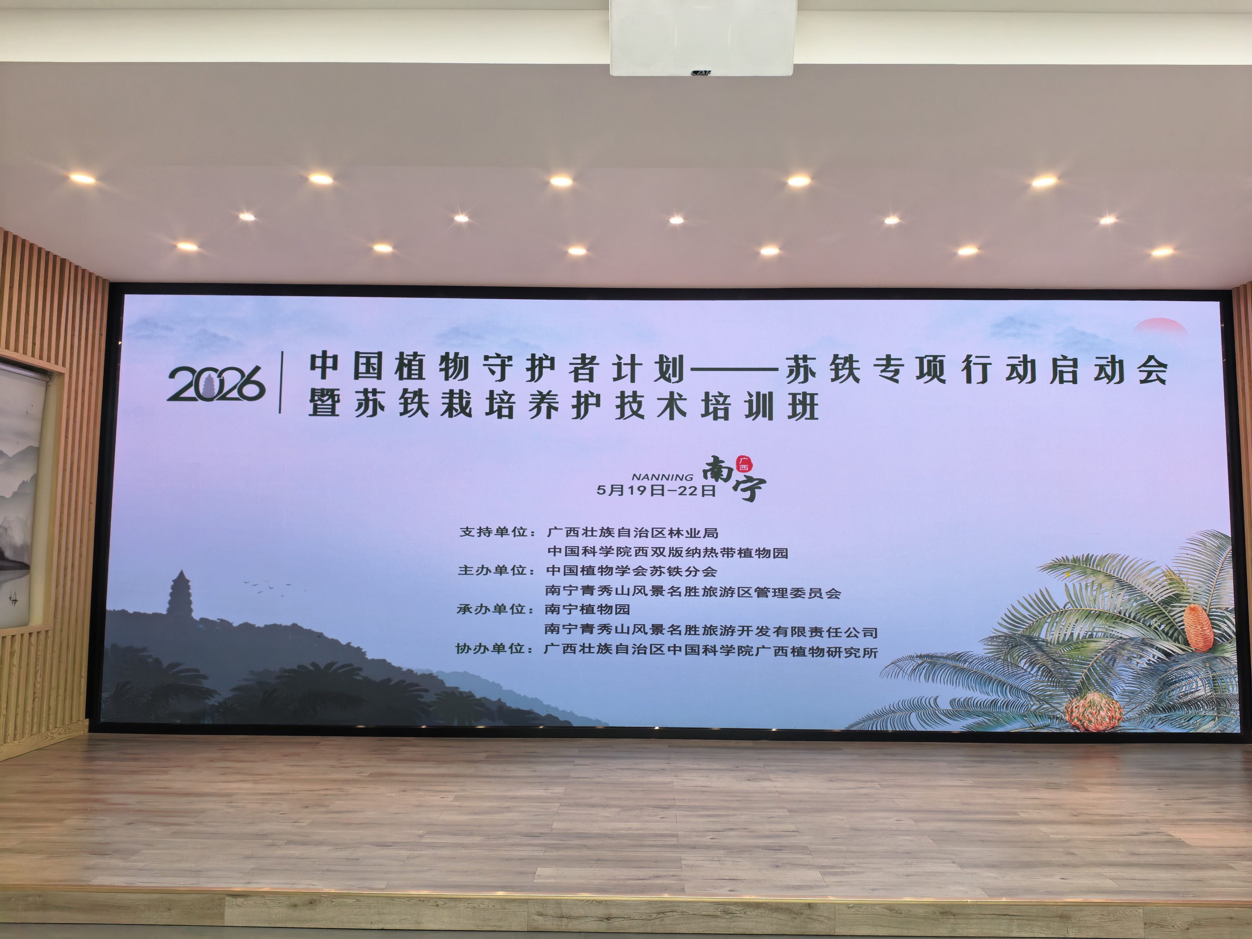 动态图片