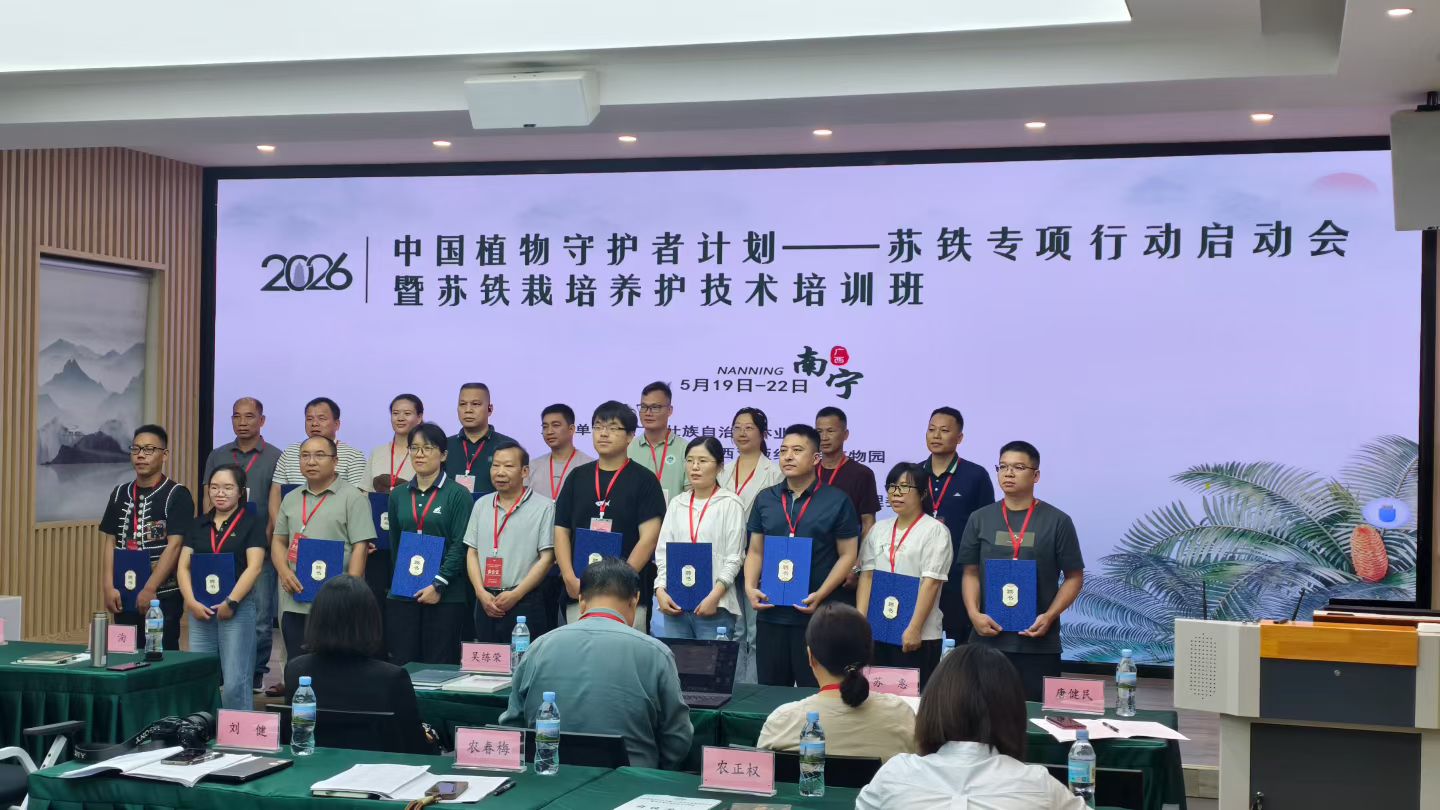 动态图片