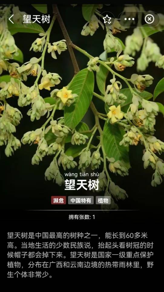 动态图片