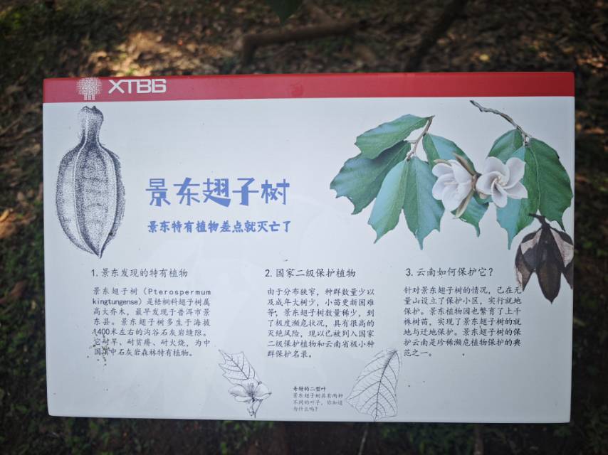 动态图片