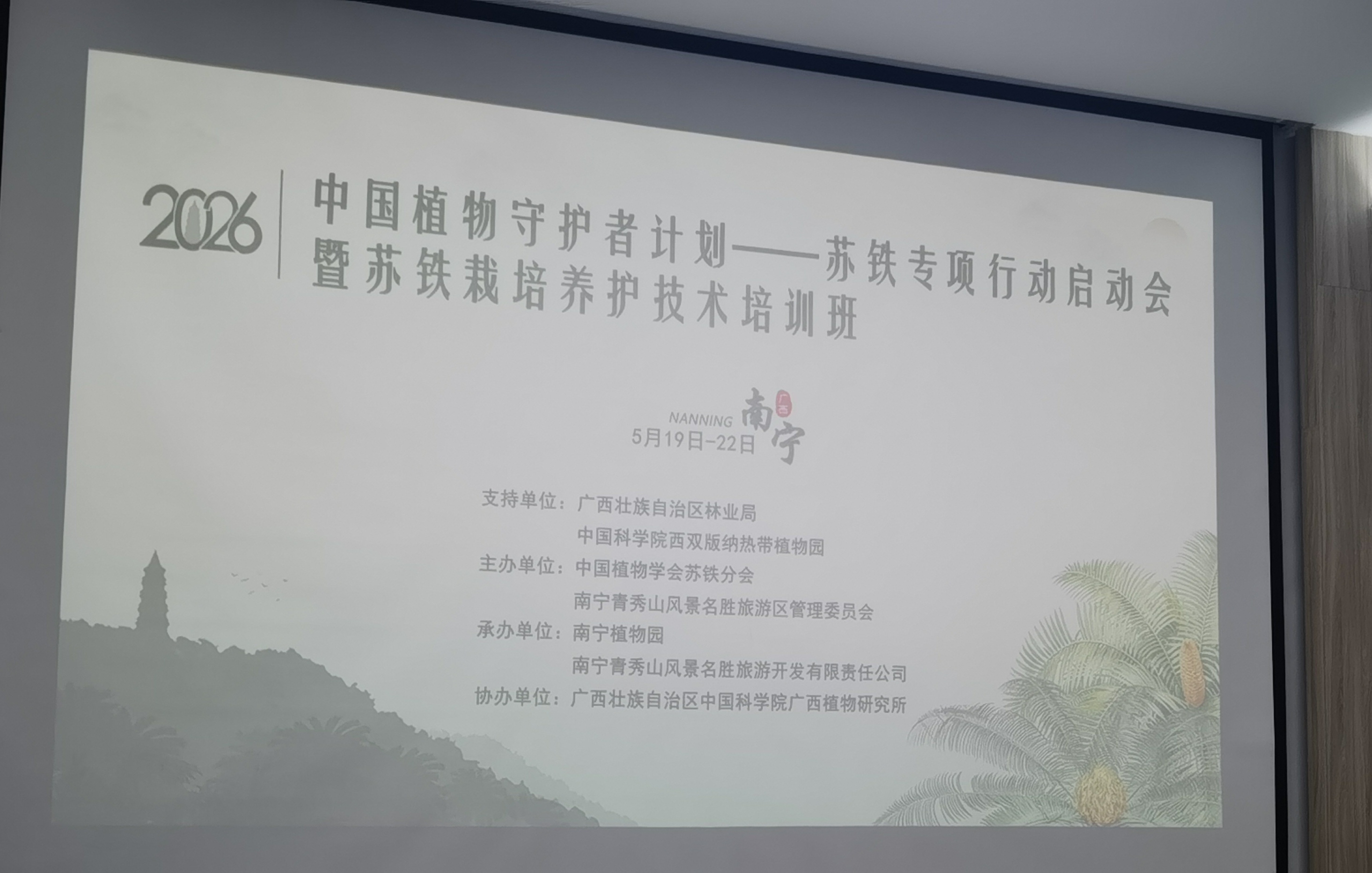 动态图片