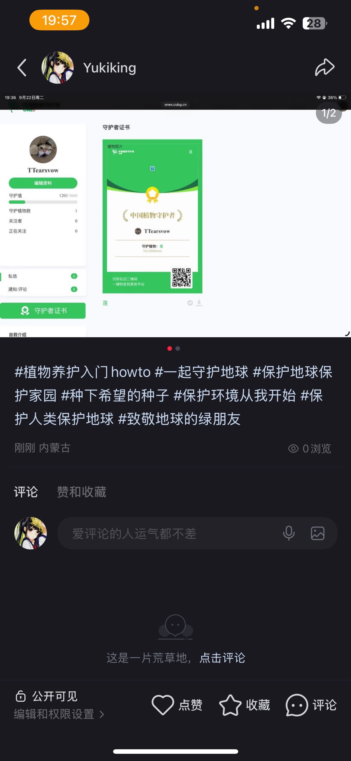 动态图片