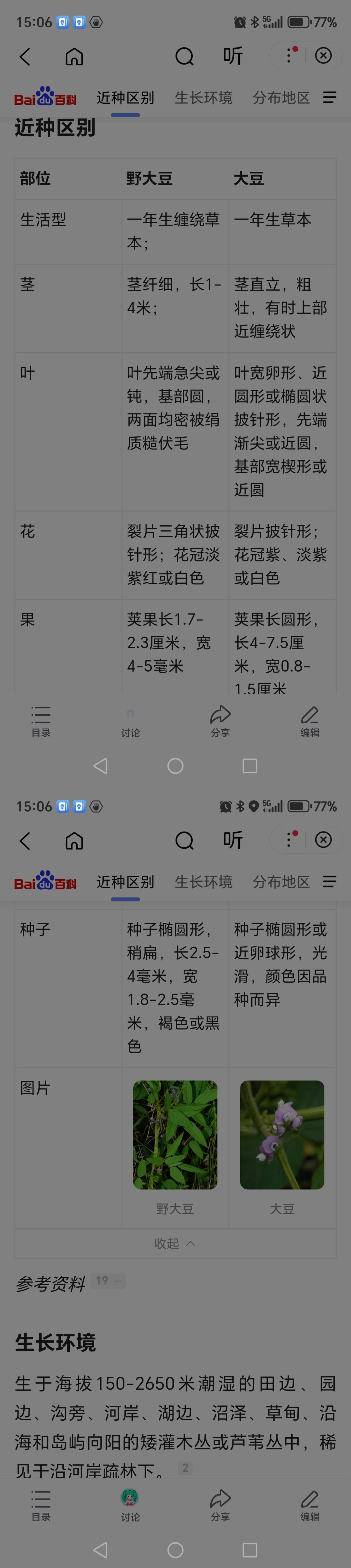 动态图片