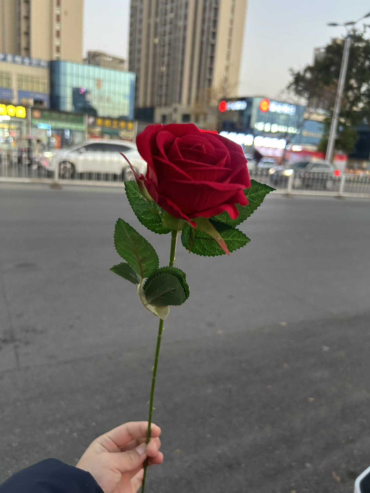 动态图片